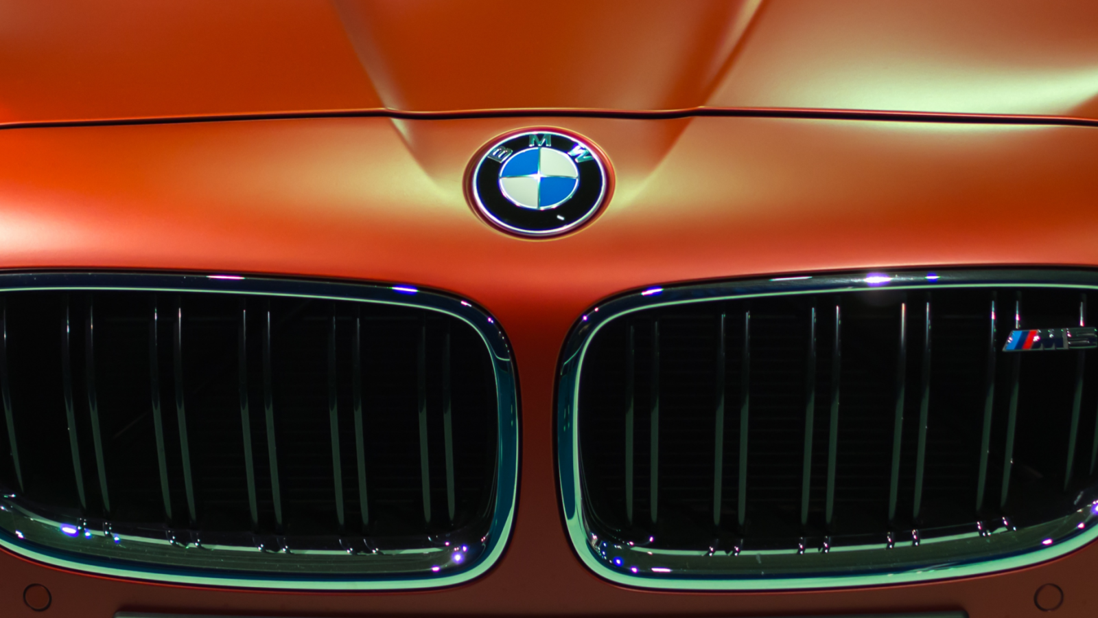 German Performance Specialists (11)