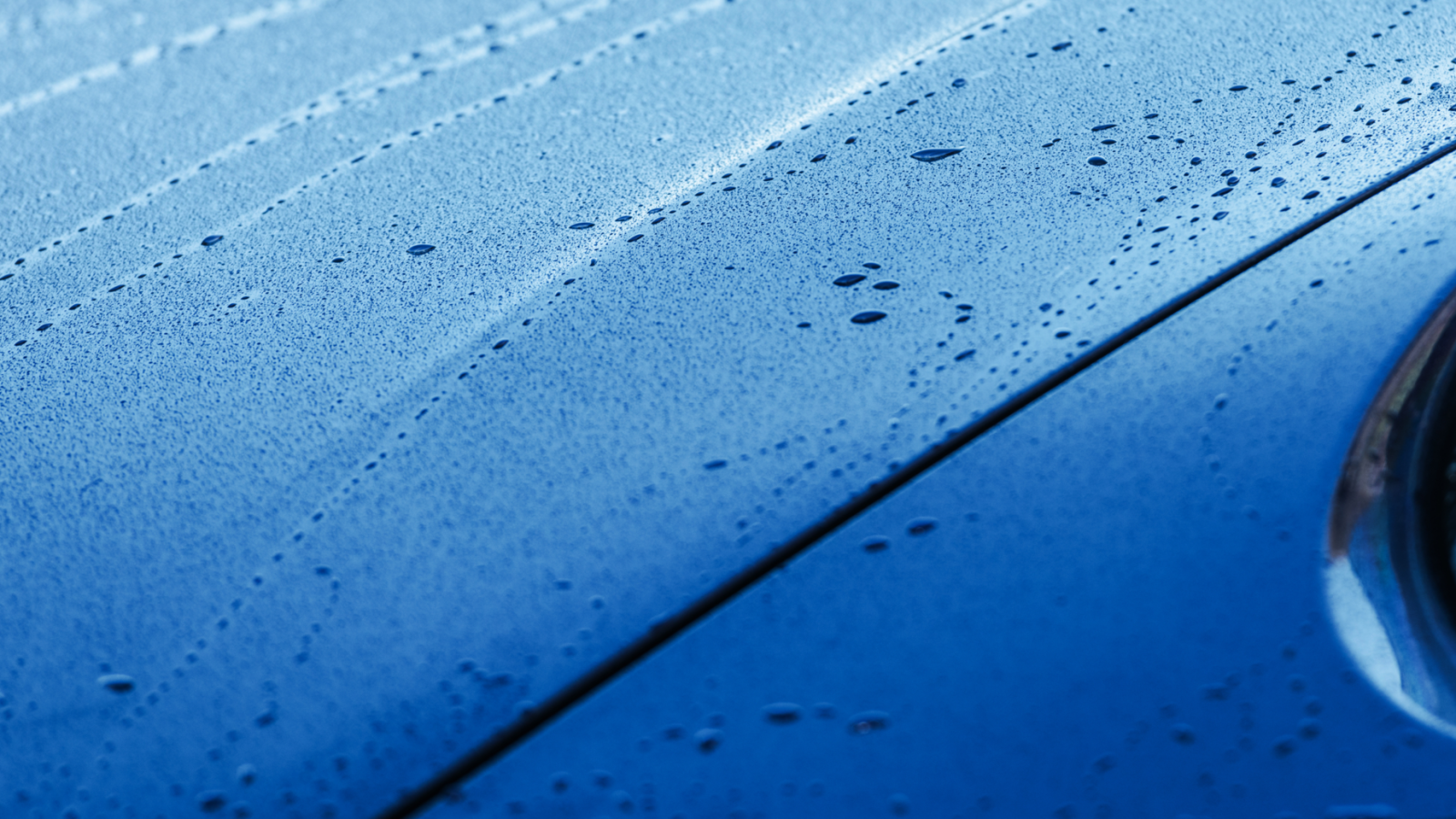 German Performance Specialists (12)